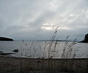 P5040058.jpg